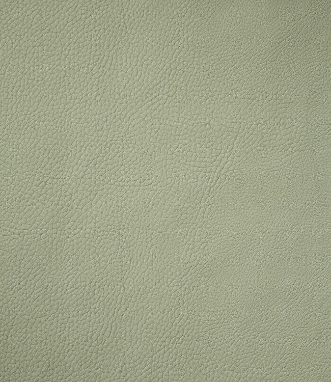 Finesse Monaco XL Placemat 35 X 48 Cm Kunstleer Green Tea 2 Finesse Monaco XL Placemat 35 X 48 Cm Kunstleer Green Tea - Afbeelding 2